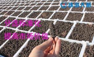 大家都用重量分揀機分選海參了！您還在用人工分選嗎？