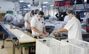 流水線輸送線特點與在線自動稱重系統(tǒng)應用解析